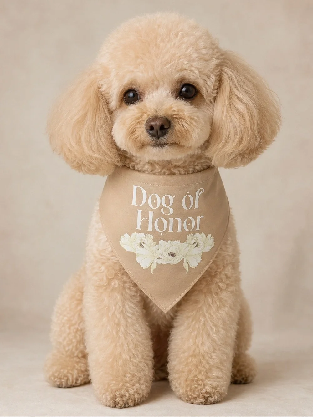 NWT Top Paw Dog of Honor Beige Floral Dog Reversible Wedding Bandana Size Sm/Med